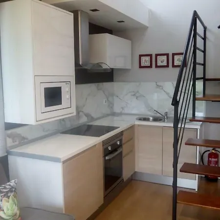 Puerta De Duplex *